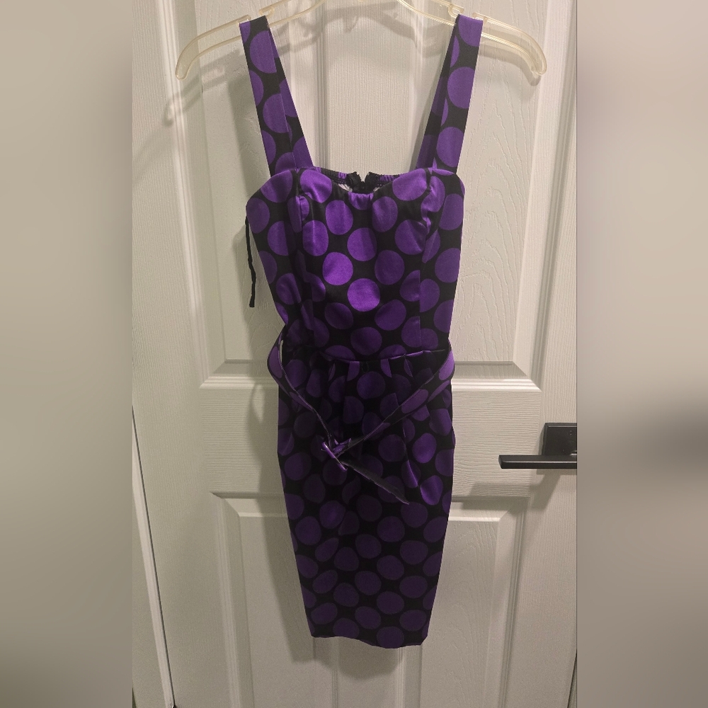 Widsor Belted Polka Dot Dress